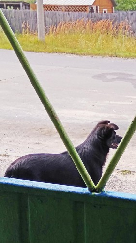 Les_14.08.2017-3.jpg