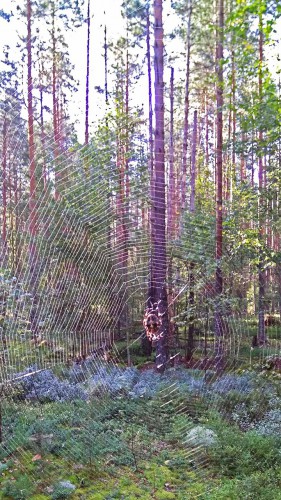 Les_16.08.2017-1.jpg