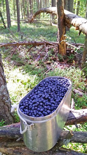 Les_16.08.2017-3.jpg