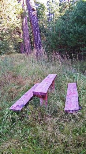 Les_04.09.2017-2.jpg