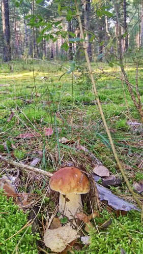 Les_12.09.2017-1.jpg