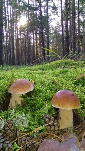 Les_12.09.2017-3.jpg