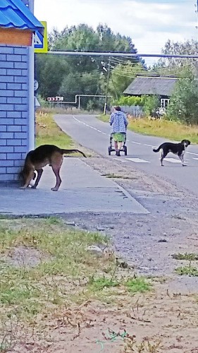 Les_16.09.2017-2.jpg