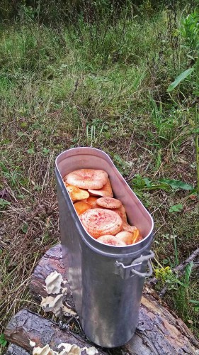 Les_26.09.2017-3.jpg