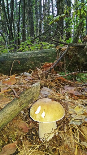 Les_03.10.2017-2.jpg