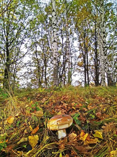 Les_09.10.2017-1.jpg
