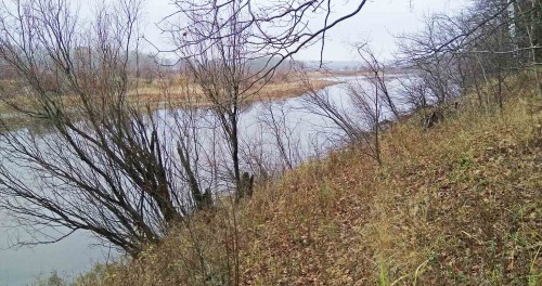Les_06.11.2017-2.jpg