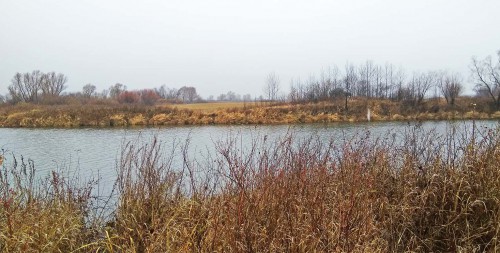 Les_19.11.2017-1.jpg