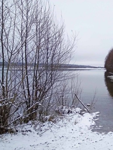 Ryb_25.11.2017-1.jpg