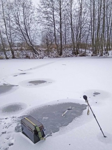 Ryb_25.11.2017-3.jpg