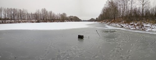 Ryb_27.11.2017-2.jpg