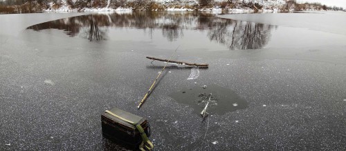 Ryb_27.11.2017-3.jpg