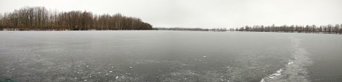 Ryb_29.11.2017-1.jpg