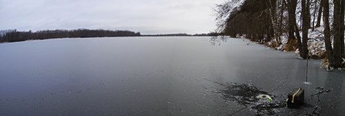 Ryb_29.11.2017-2.jpg
