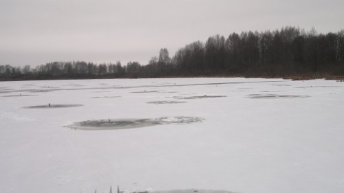 2012-08-05-538.jpg