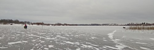 Ryb_01.12.2017-1.jpg