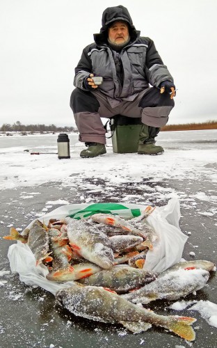 Ryb_01.12.2017-3.jpg