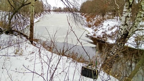 Ryb_05.12.2017-2.jpg