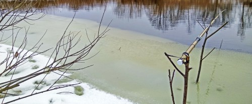 Ryb_05.12.2017-3.jpg