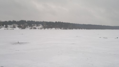 2017-12-06-550.jpg