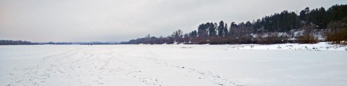 Ryb_06.12.2017-1.jpg