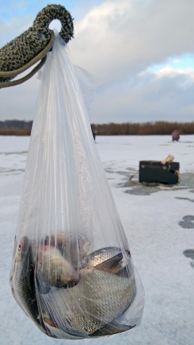 Ryb_06.12.2017-3.jpg