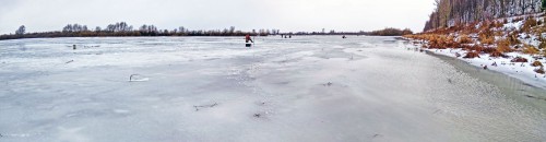 Ryb_11.12.2017-1.jpg