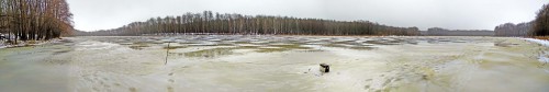 Ryb_13.12.2017-1.jpg