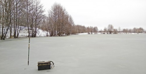 Ryb_19.12.2017-1.jpg