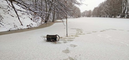 Ryb_19.12.2017-3.jpg