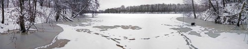 Ryb_21.12.2017-1.jpg