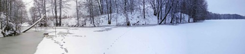 Ryb_21.12.2017-2.jpg