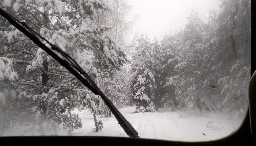 Ryb_22.12.2017-1.jpg