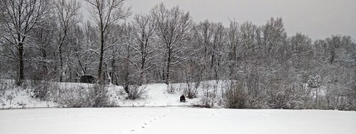 Ryb_22.12.2017-3.jpg