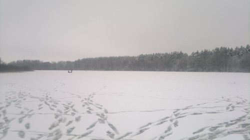 2017-12-20-588.jpg