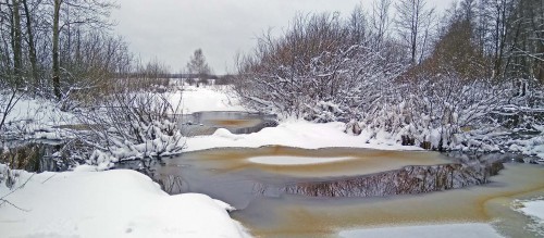 Ryb_25.12.2017-3.jpg