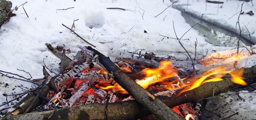 Ryb_25.12.2017-4.jpg