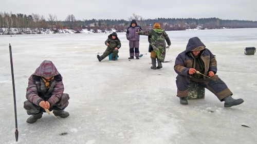 Ryb_02.01.2018-1.jpg