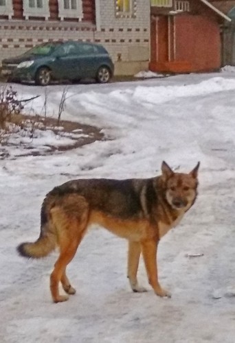 Ryb_02.01.2018-7.jpg