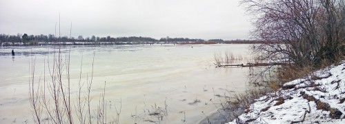 Ryb_03.01.2018-1.jpg