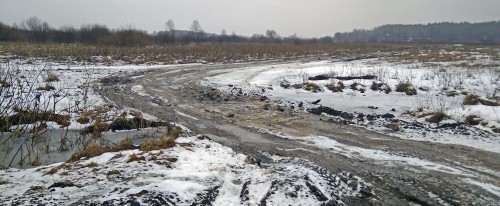 Ryb_07.01.2018-2.jpg