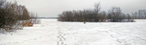 Ryb_07.01.2018-4.jpg