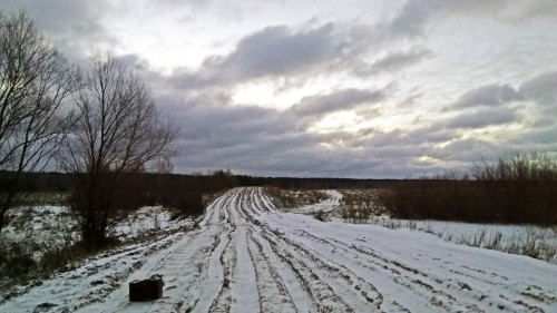 Ryb_09.01.2018-2.jpg