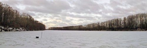 Ryb_09.01.2018-3.jpg