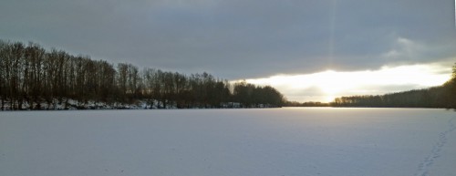 Ryb_13.01.2018-2.jpg