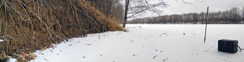 Ryb_13.01.2018-3.jpg