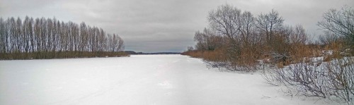 Ryb_15.01.2018-1.jpg