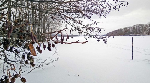 Ryb_15.01.2018-2.jpg