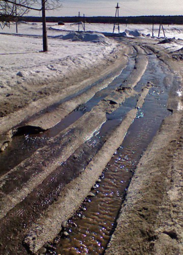 Vilja04042011-2.jpg