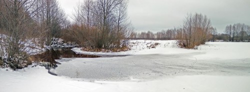 Ryb_17.01.2018-1.jpg